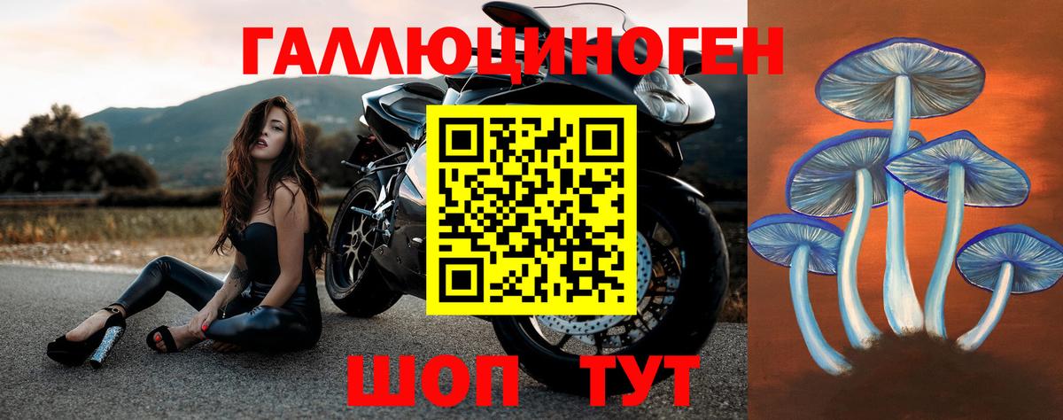 Галлюциногенные грибы MAGIC MUSHROOMS  Псилоцибиновые грибы MAGIC MUSHROOMS  Мытищи  Вход с VPN 