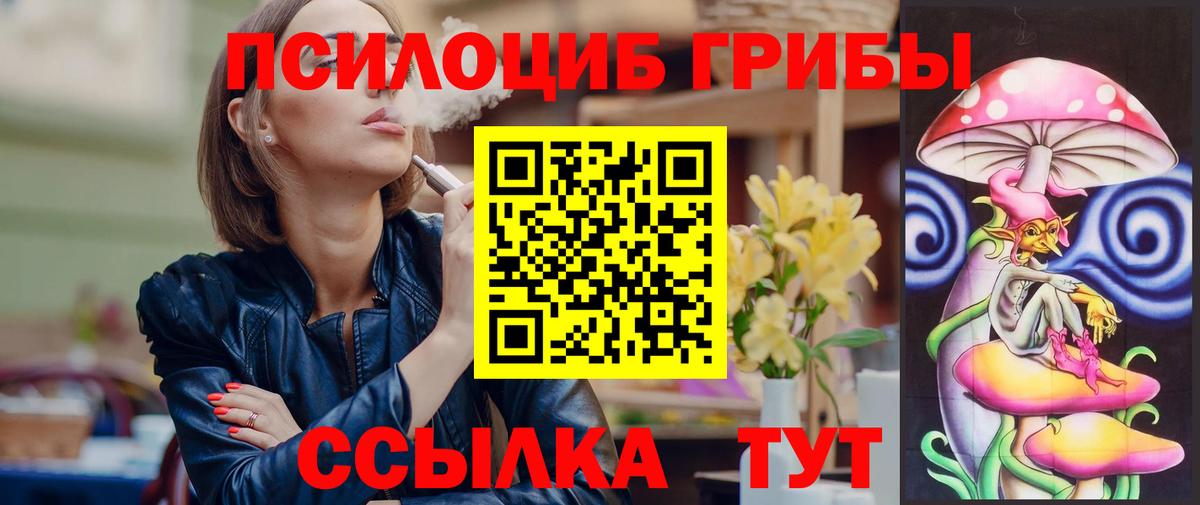 Галлюциногенные грибы Psilocybe Мытищи